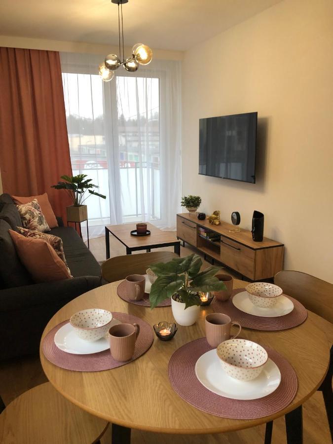 Apartament Pileckiego Nowy Dwor Mazowiecki Modlin Airport エクステリア 写真