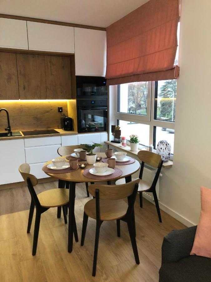 Apartament Pileckiego Nowy Dwor Mazowiecki Modlin Airport エクステリア 写真