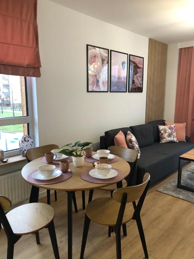 Apartament Pileckiego Nowy Dwor Mazowiecki Modlin Airport エクステリア 写真